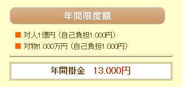 �����ӔC�ی� �摜