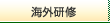 �C�O���C