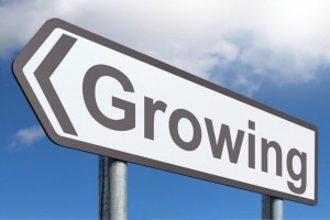 growing-business-1024x682