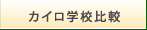 繧ｫ繧､繝ｭ繝励Λ繧ｯ繝?ぅ繝?け蟄ｦ譬｡豈碑ｼ?