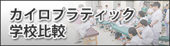 繧ｫ繧､繝ｭ繝励Λ繧ｯ繝?ぅ繝?け蟄ｦ譬｡豈碑ｼ?