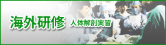 豬ｷ螟也 比ｿｮ?井ｺｺ菴楢ｧ｣蜑門ｮ溽ｿ抵ｼ?